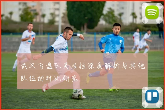 武汉飞盘队灵活性深度解析与其他队伍的对比研究