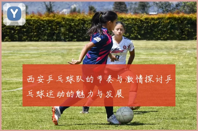 西安乒乓球队的节奏与激情探讨乒乓球运动的魅力与发展