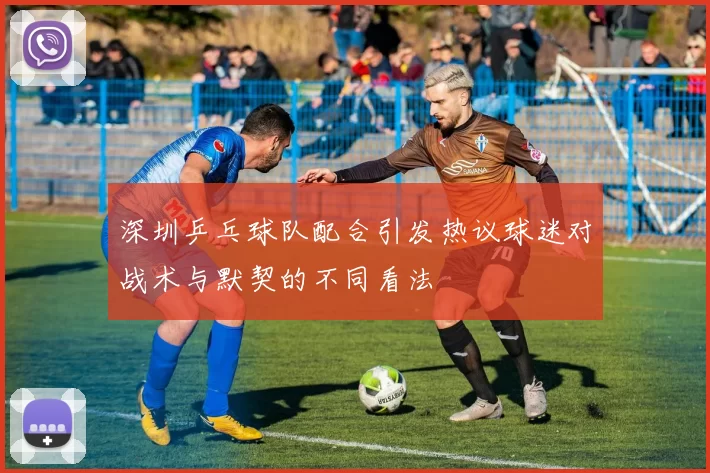 深圳乒乓球队配合引发热议球迷对战术与默契的不同看法