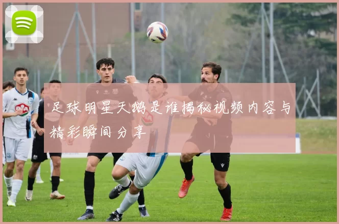 足球明星天鹅是谁揭秘视频内容与精彩瞬间分享