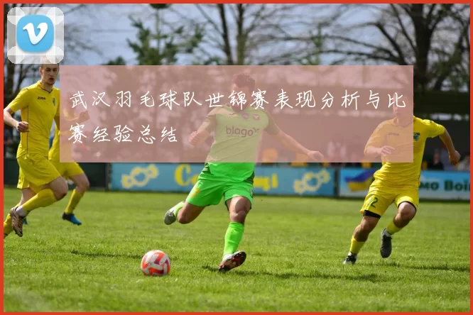 武汉羽毛球队世锦赛表现分析与比赛经验总结