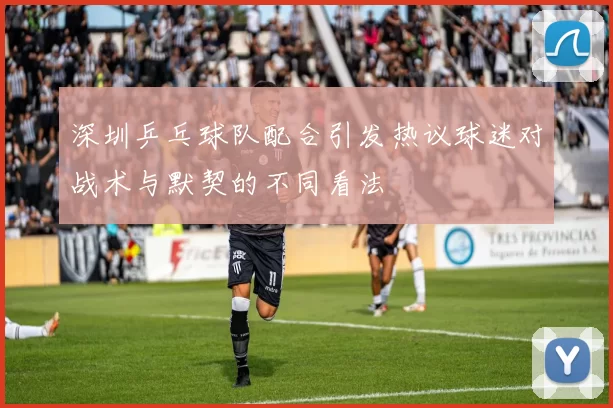 深圳乒乓球队配合引发热议球迷对战术与默契的不同看法