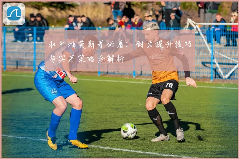 和平精英新手必看：耐力提升技巧与实用策略全解析