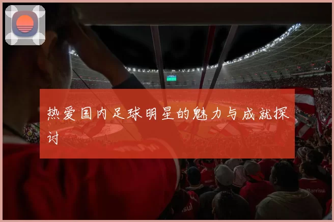 热爱国内足球明星的魅力与成就探讨