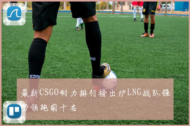 最新CSGO耐力排行榜出炉LNG战队强势领跑前十名